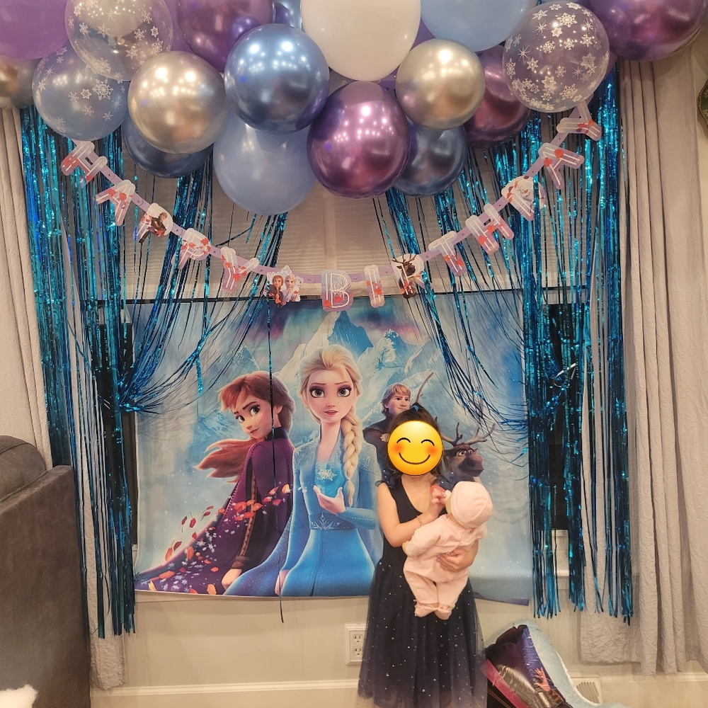 Frozen Happy Birthday Banner and Fabric Backdrop. LIKE new!